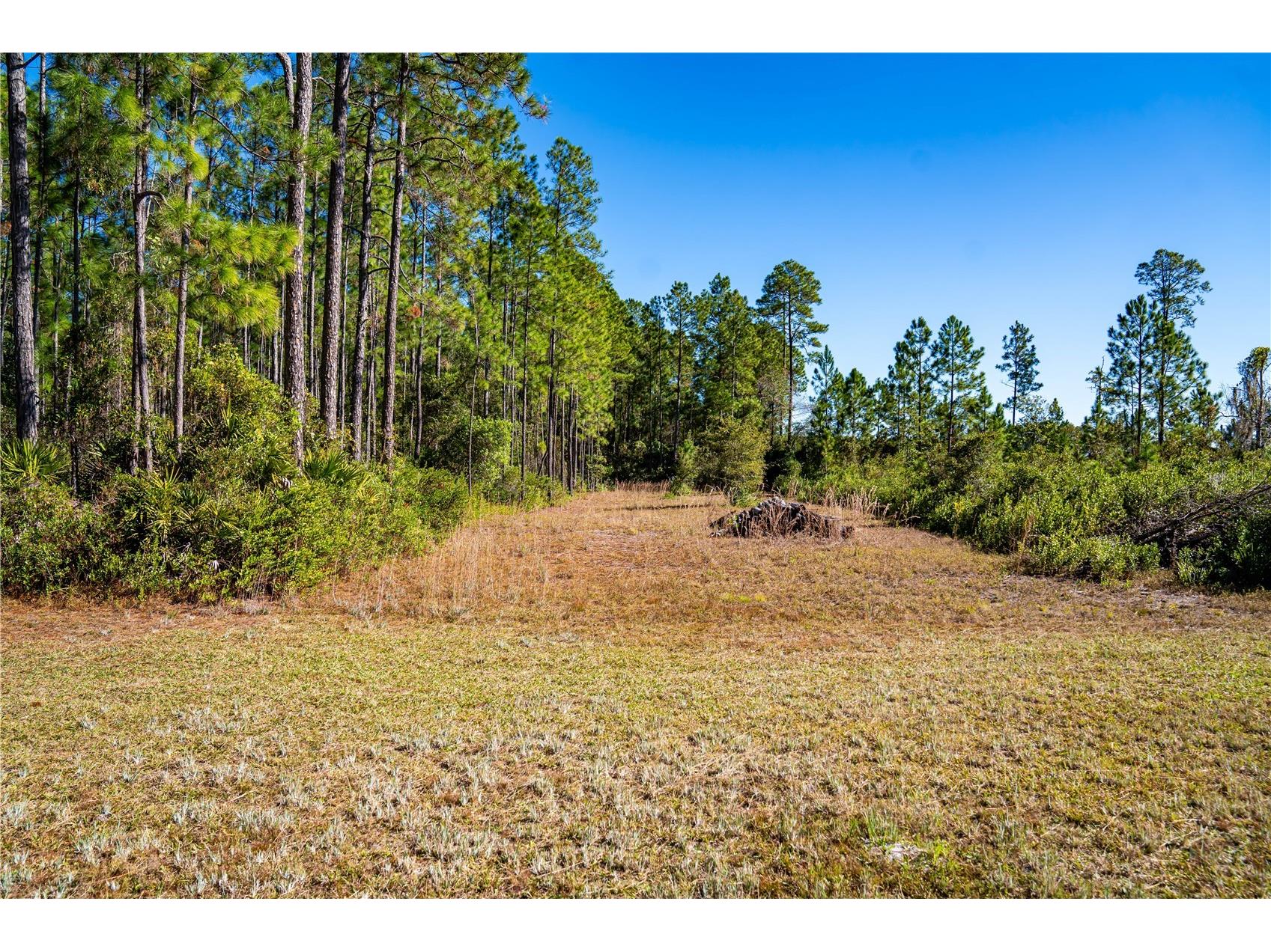 101 Thyme Drive Interlachen FL 32148 TB8459985 image2