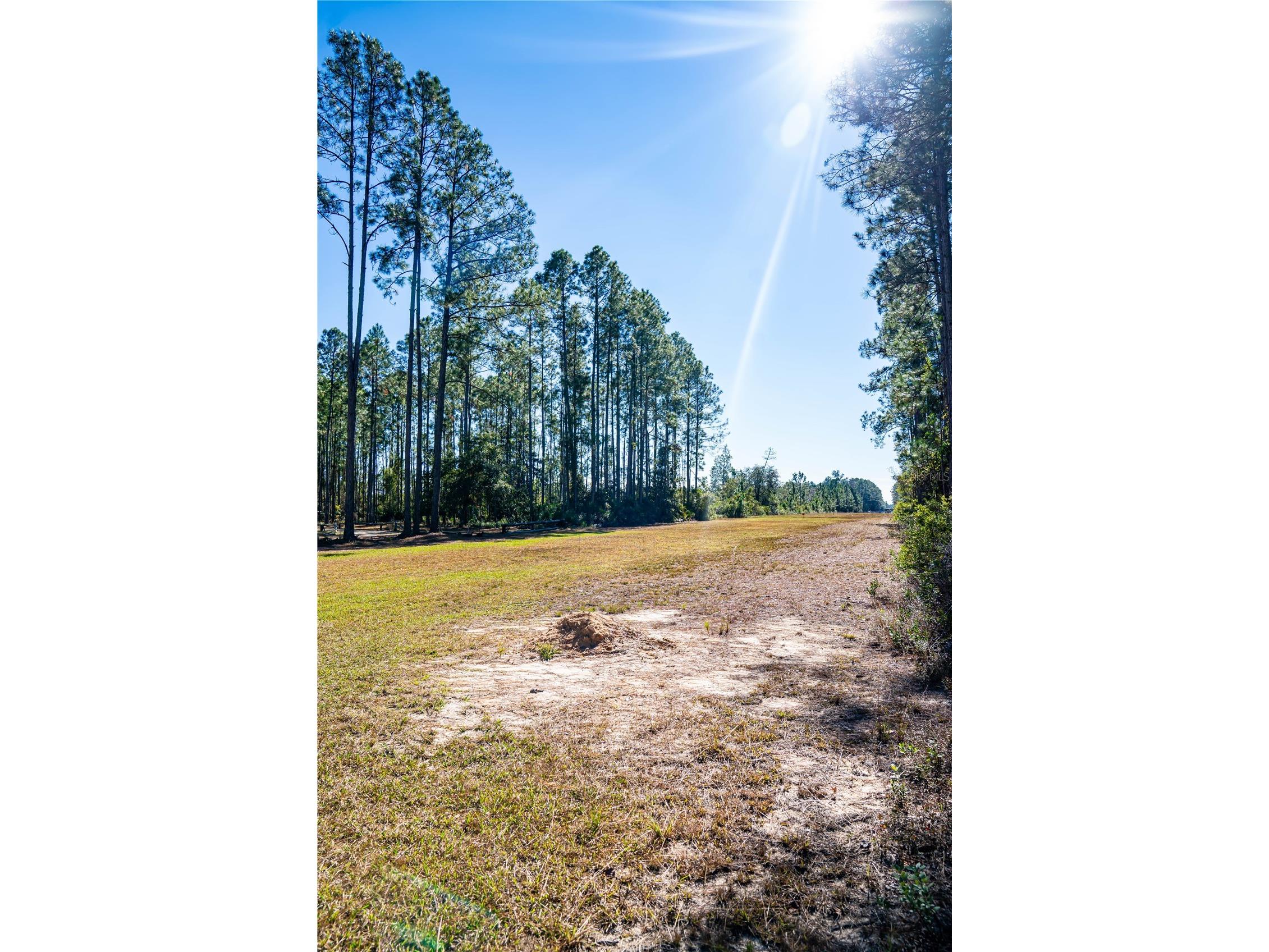 101 Thyme Drive Interlachen FL 32148 TB8459985 image25