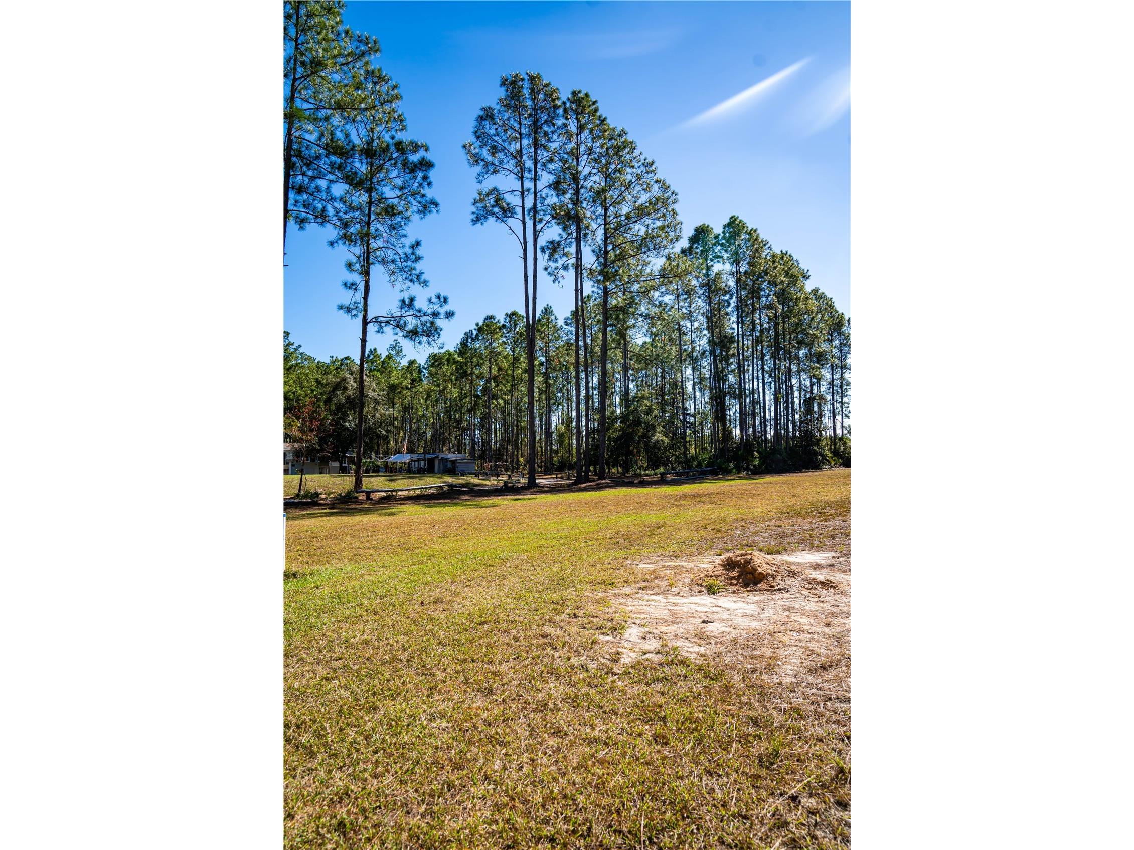 101 Thyme Drive Interlachen FL 32148 TB8459985 image26