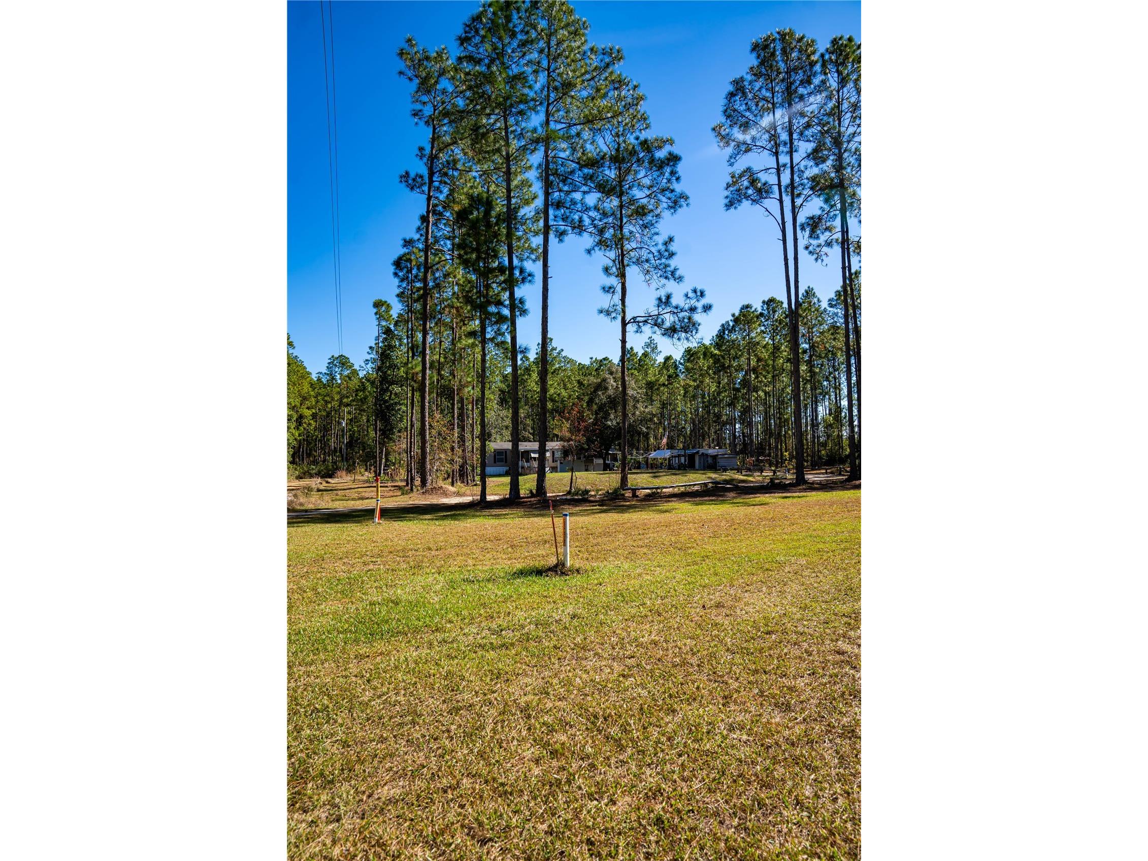 101 Thyme Drive Interlachen FL 32148 TB8459985 image27