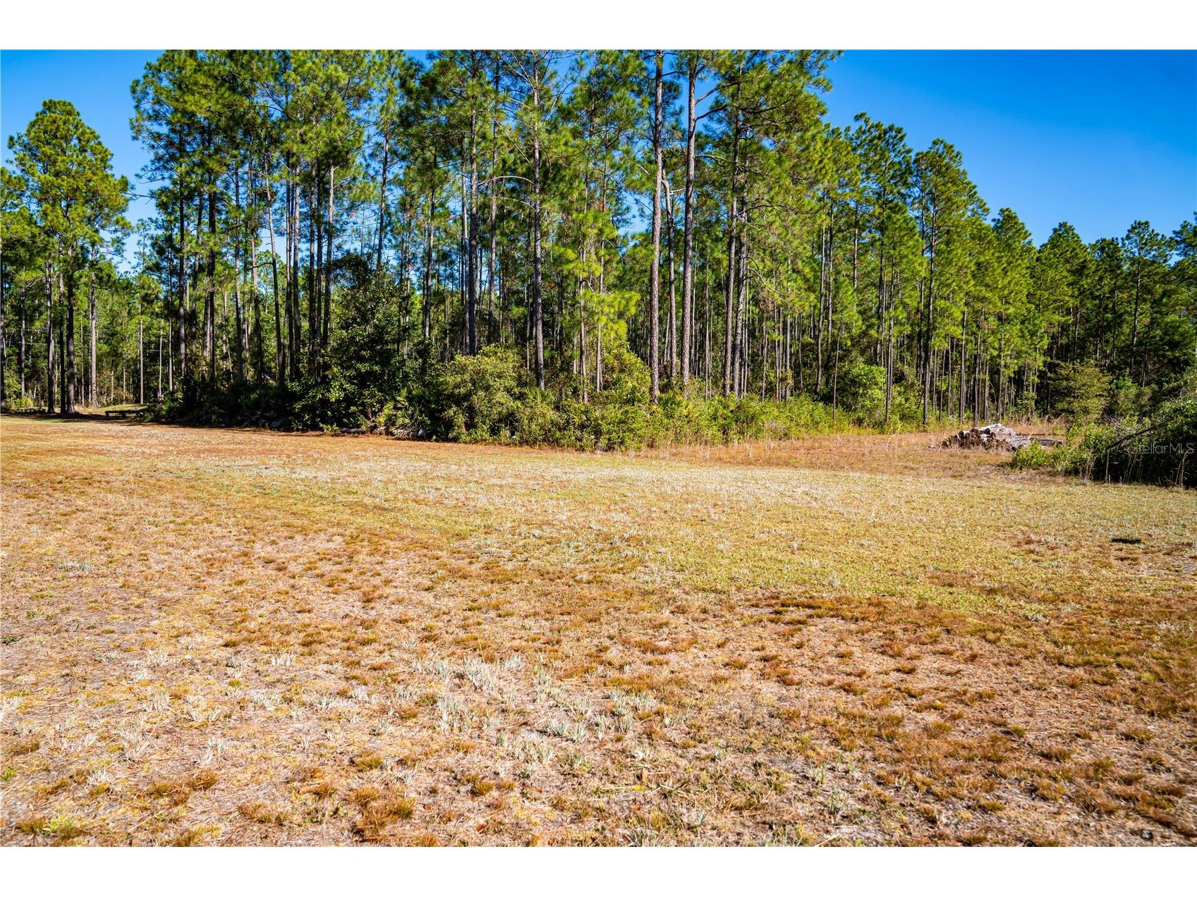 101 Thyme Drive Interlachen FL 32148 TB8459985 image3