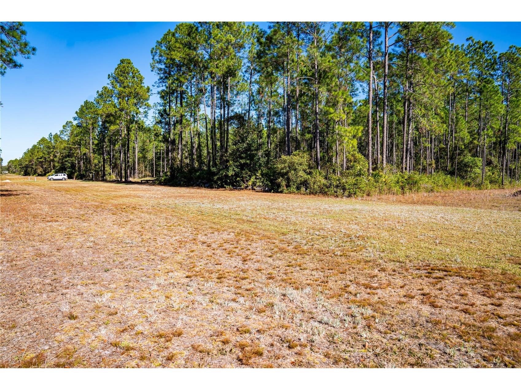 101 Thyme Drive Interlachen FL 32148 TB8459985 image4