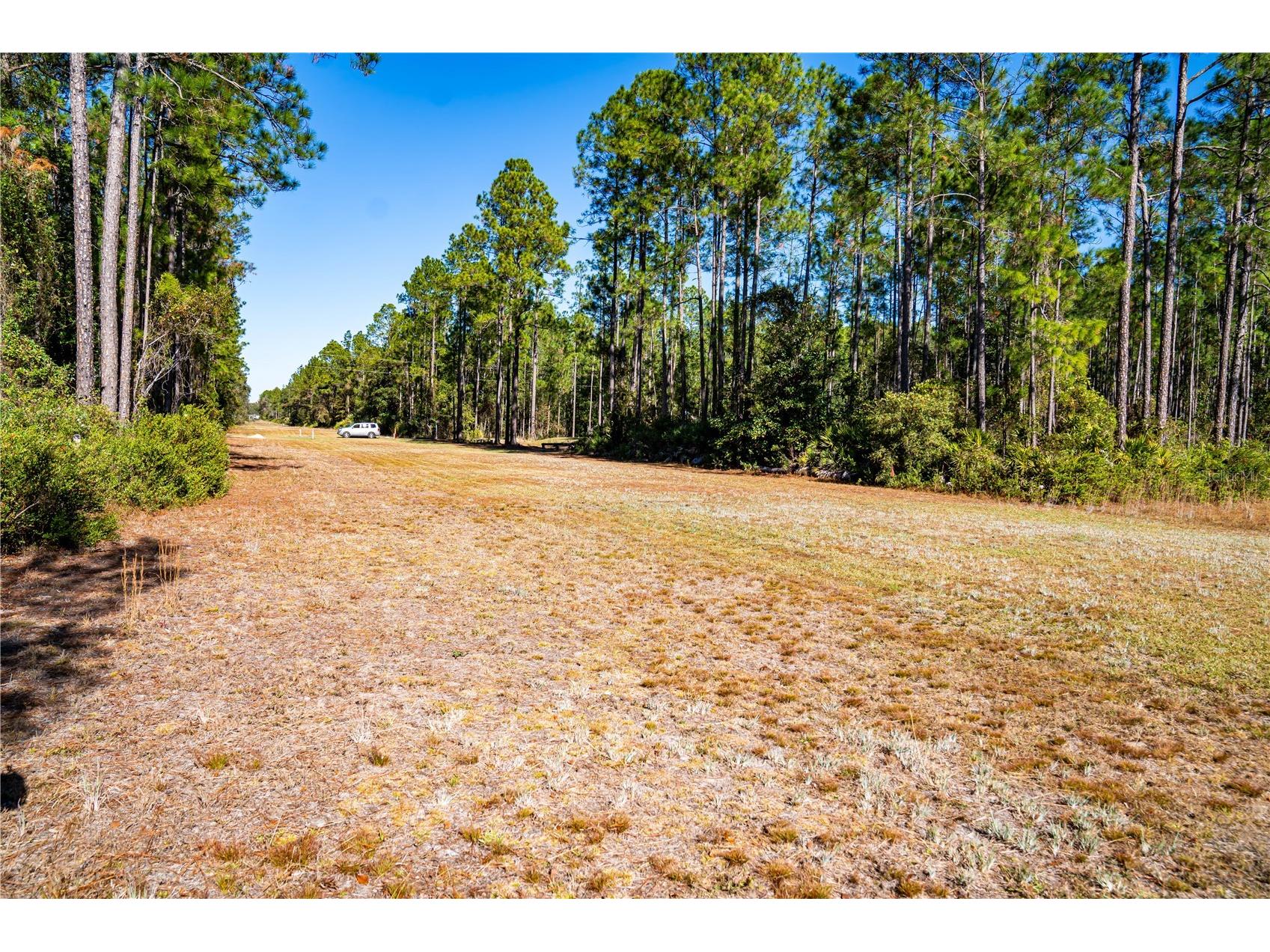 101 Thyme Drive Interlachen FL 32148 TB8459985 image5