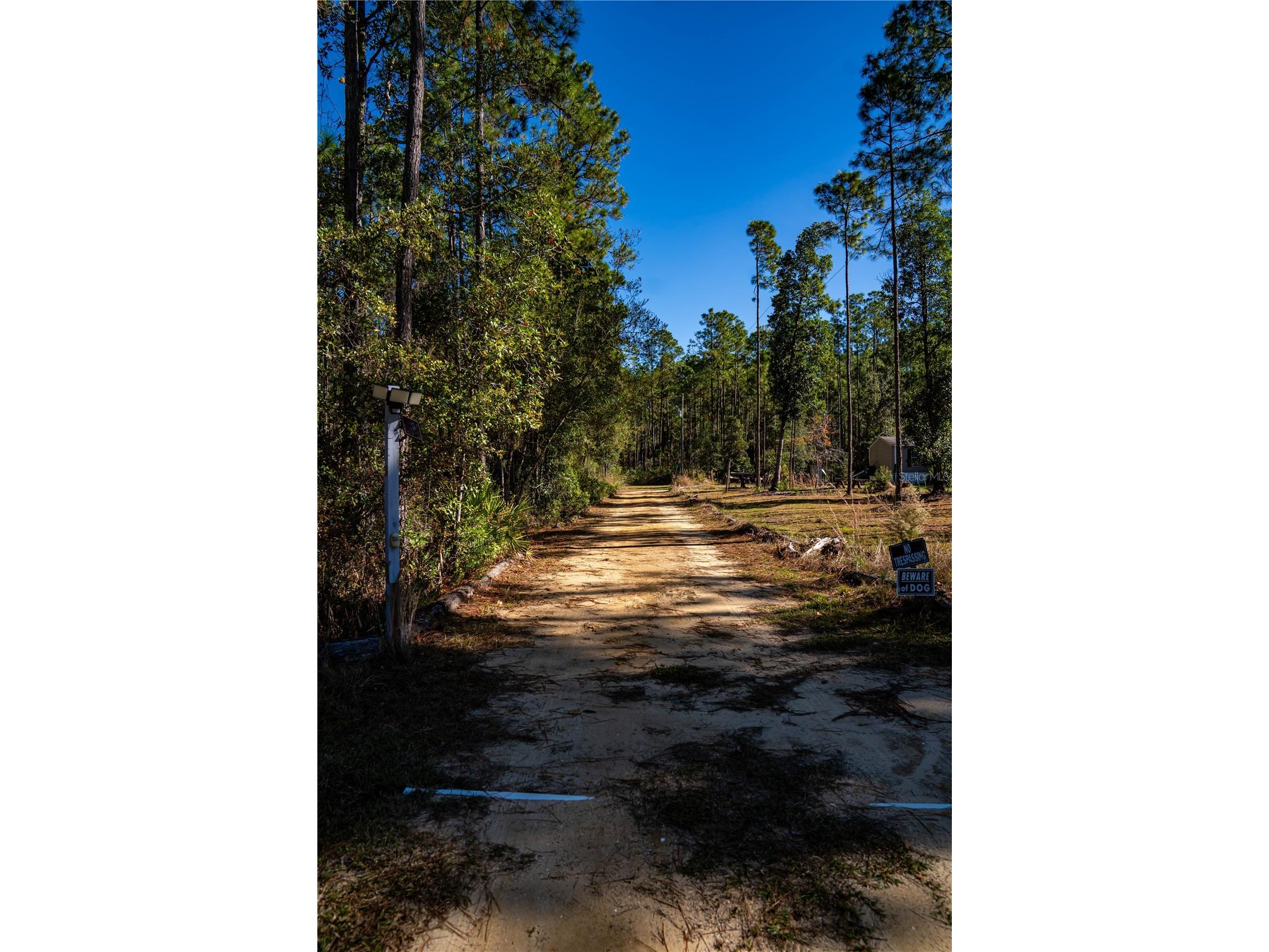 101 Thyme Drive Interlachen FL 32148 TB8459985 image8