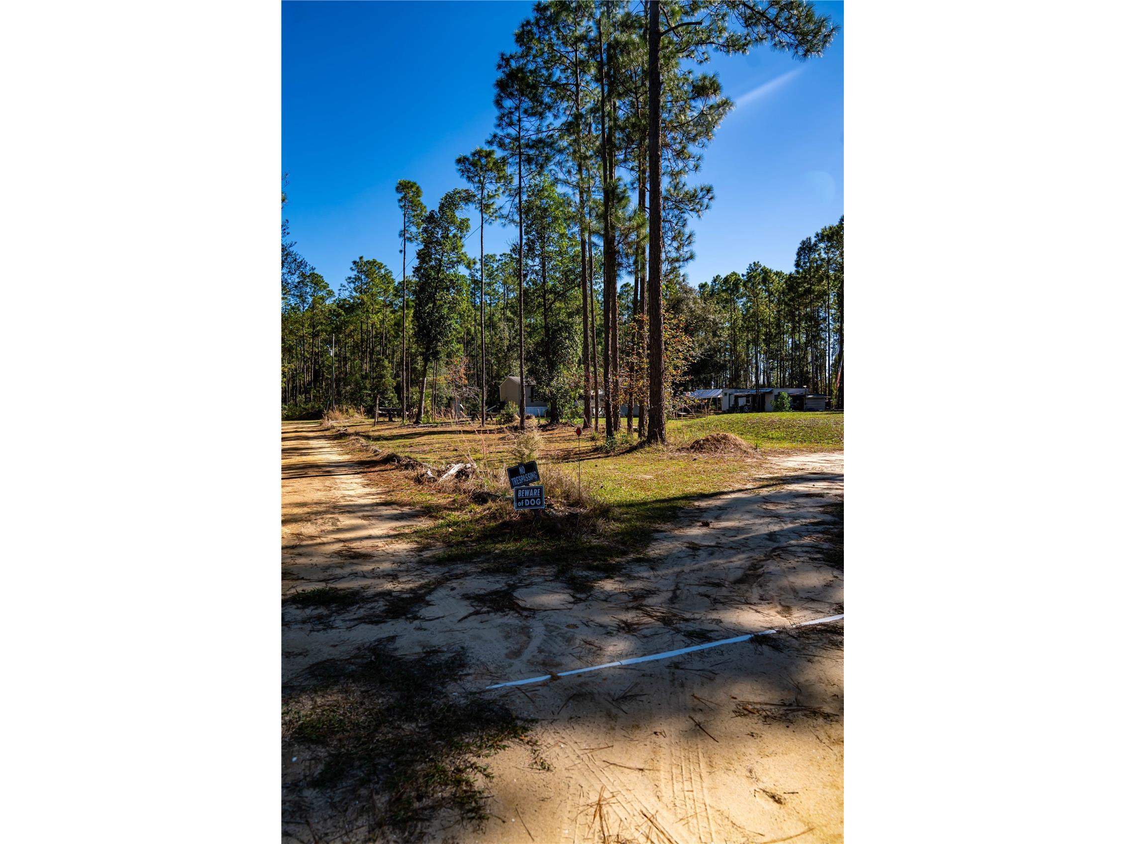 101 Thyme Drive Interlachen FL 32148 TB8459985 image9