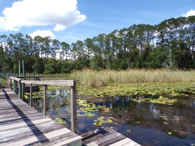 101 Tomahawk Road Hawthorne FL 32640 OM711749 image2