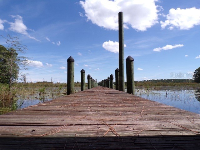 101 Tomahawk Road Hawthorne FL 32640 OM711749 image3
