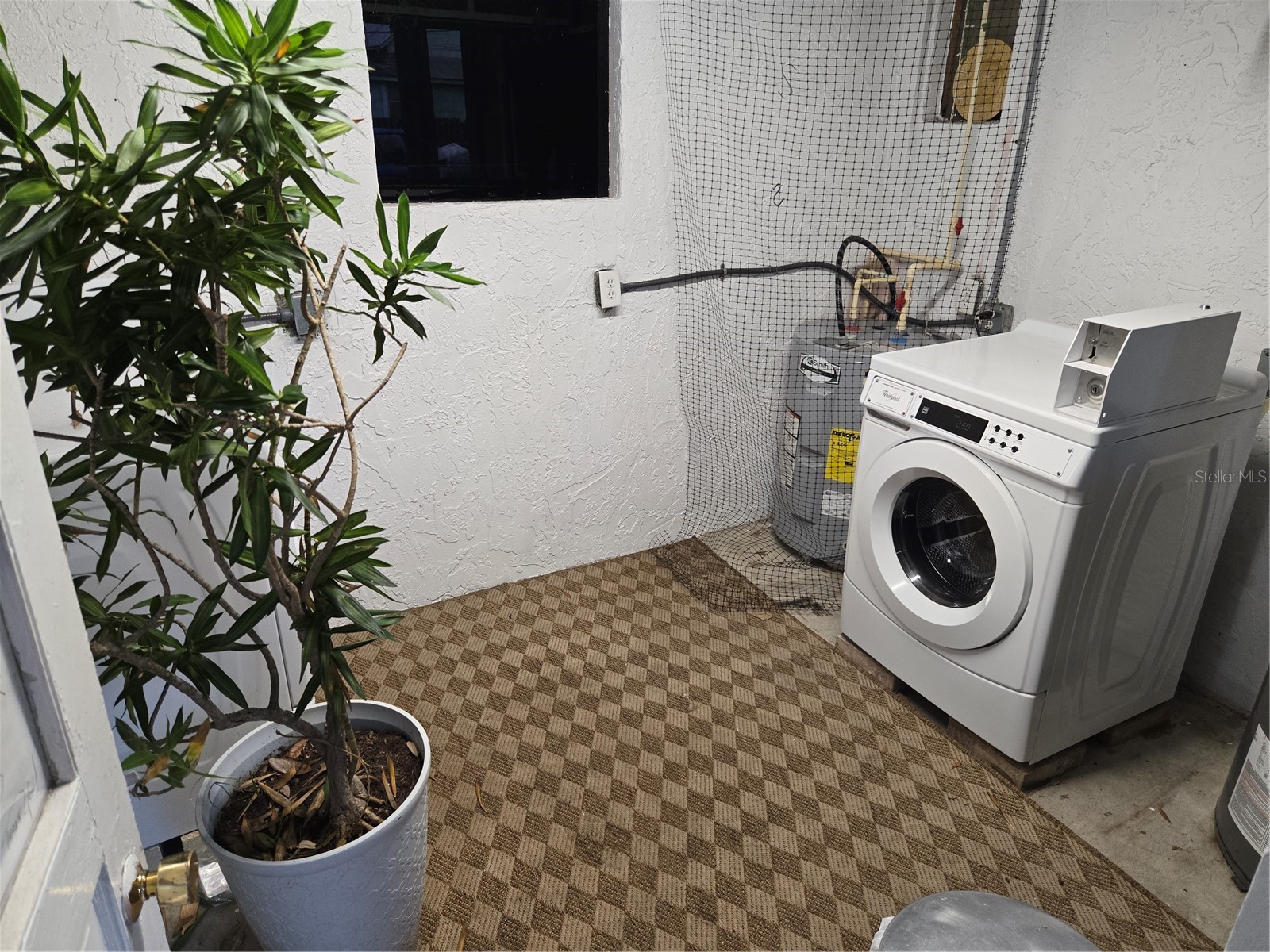 101 W Lemon Street #3 Tarpon Springs FL 34689 TB8490200 image7