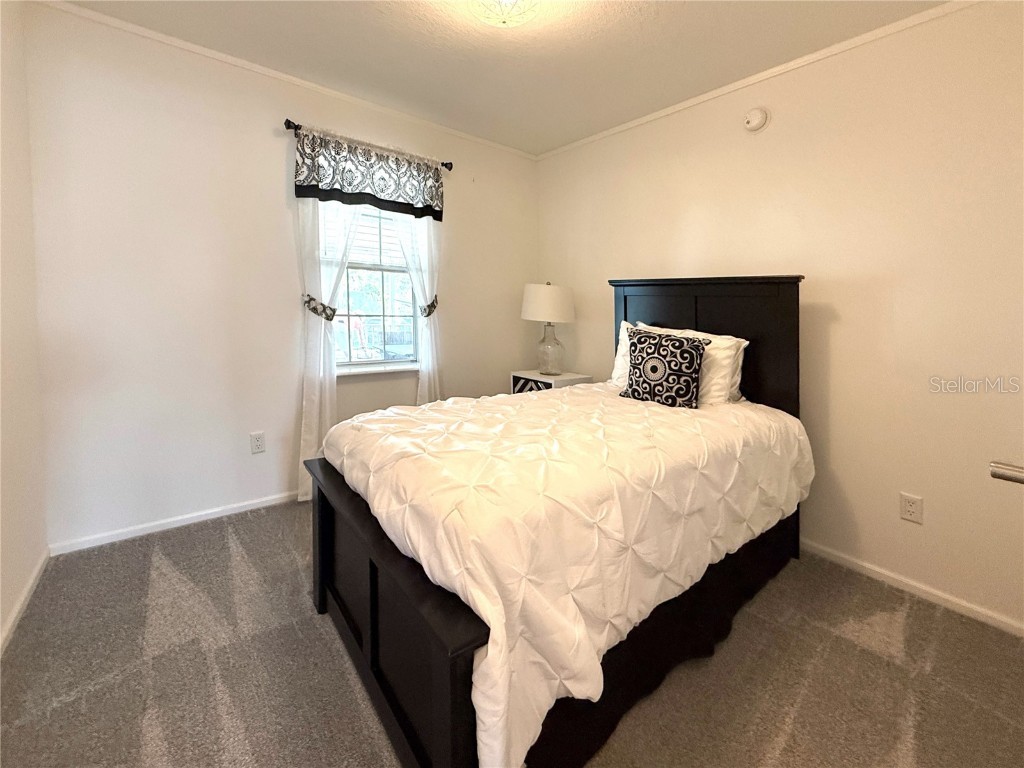 101 W Saint Johns Way Apollo Beach FL 33572 TB8450419 image10