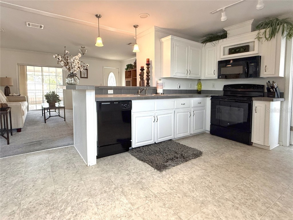 101 W Saint Johns Way Apollo Beach FL 33572 TB8450419 image4