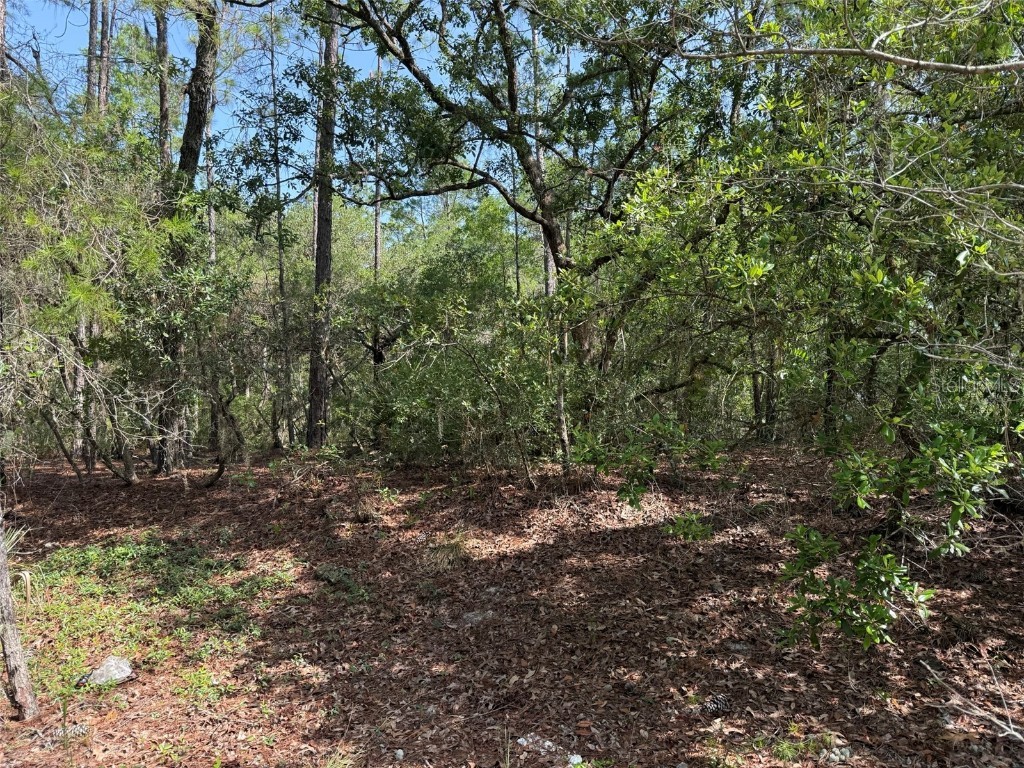 101 Washington Avenue Satsuma FL 32189 OK225244 image2