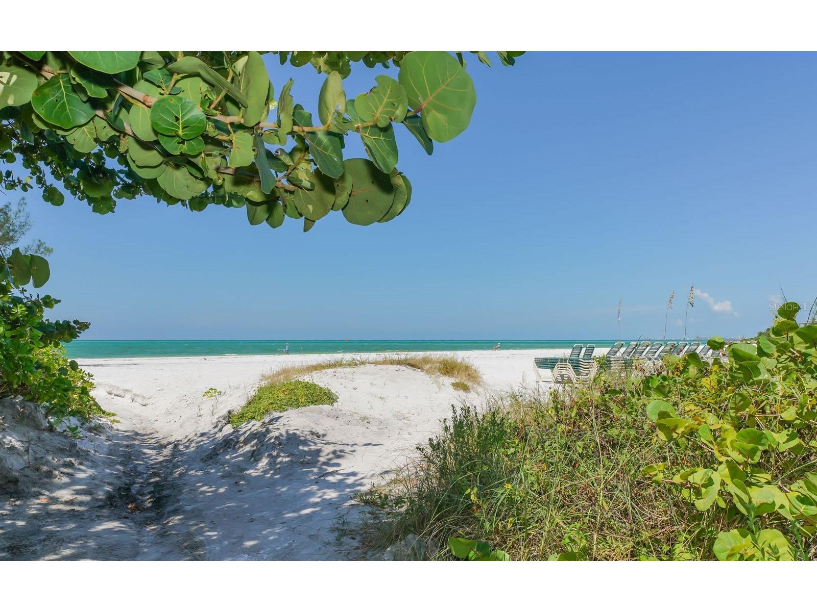 101 Whispering Sands Drive #107 Sarasota FL 34242 - GULF OF AMERICA A4674069 image49