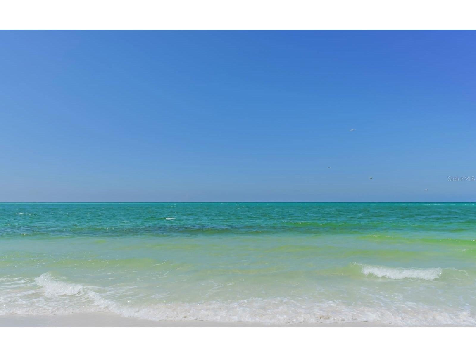 101 Whispering Sands Drive #107 Sarasota FL 34242 - GULF OF AMERICA A4674069 image53