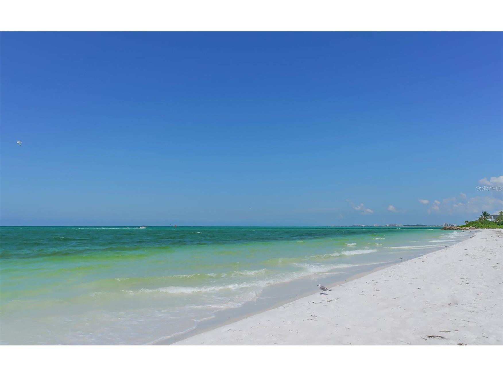 101 Whispering Sands Drive #301 Sarasota FL 34242 - GULF OF AMERICA A4688898 image56