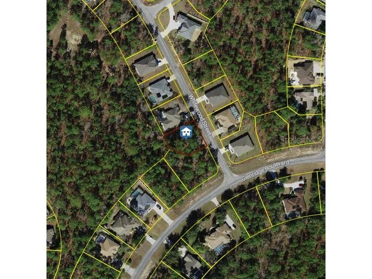 101 Whitewood Street Homosassa FL 34446 W7879247 image1