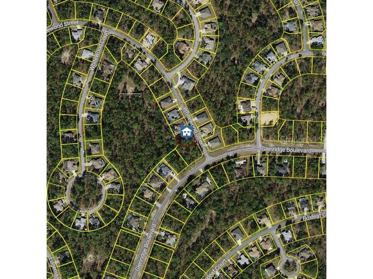 101 Whitewood Street Homosassa FL 34446 W7879247 image2