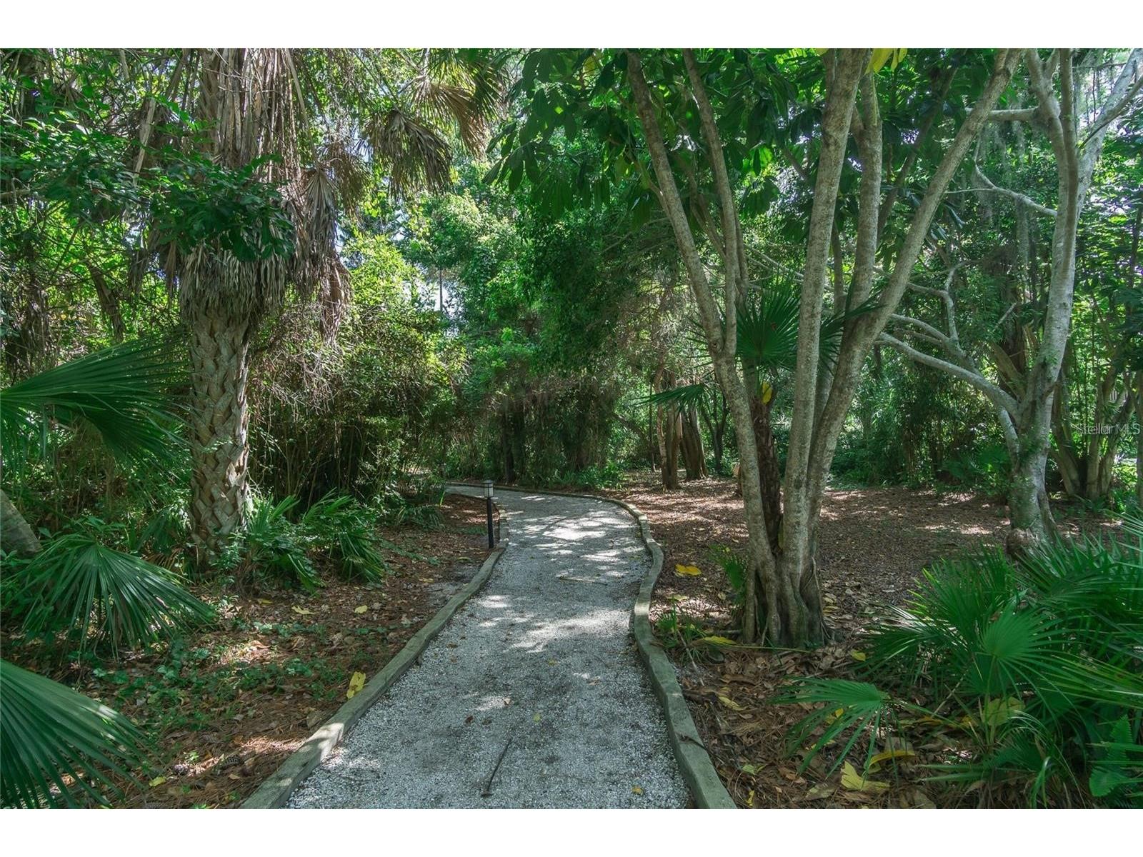 101 Woodland Place Osprey FL 34229 A4644465 image28