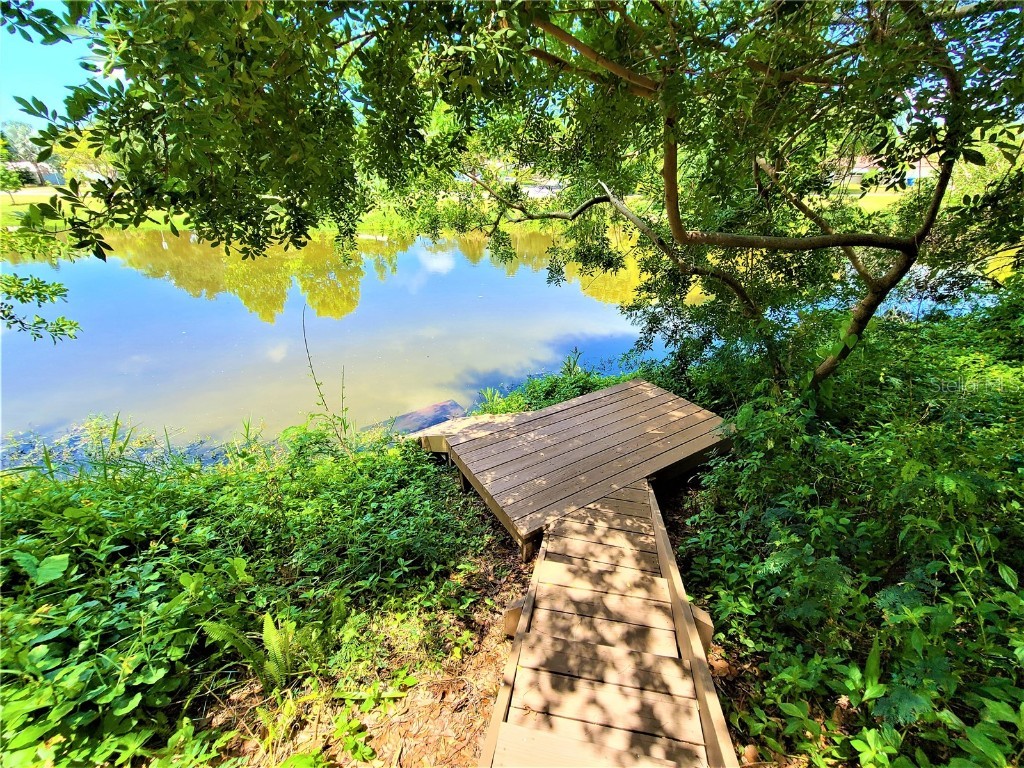 1010 Bay Breeze Terrace Largo FL 33770 TB8358596 image5