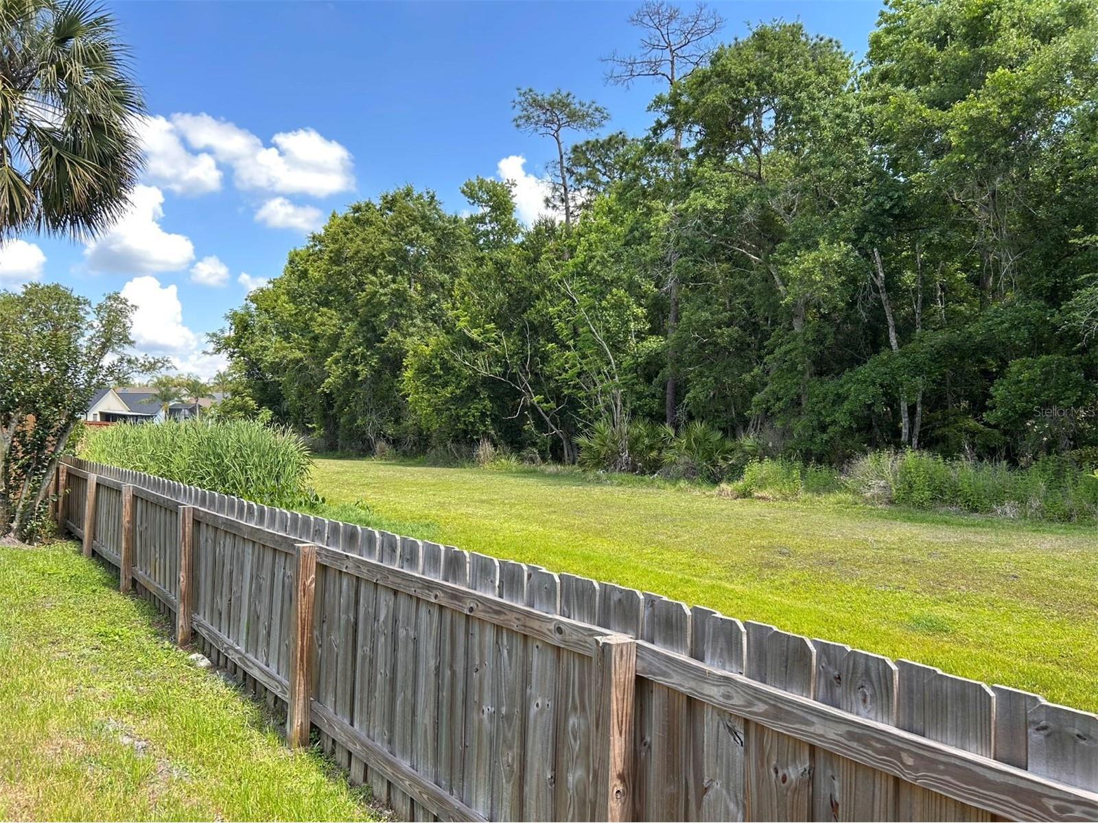 1010 Brielle Avenue Oviedo FL 32765 O6402458 image17