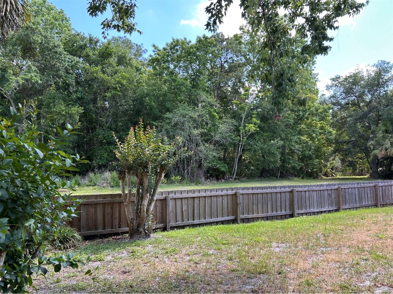 1010 Brielle Avenue Oviedo FL 32765 O6402458 image18