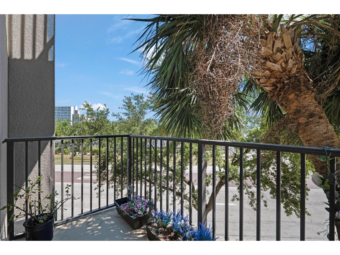 1010 Central Ave #227 Saint Petersburg FL 33705 TB8388417 image22