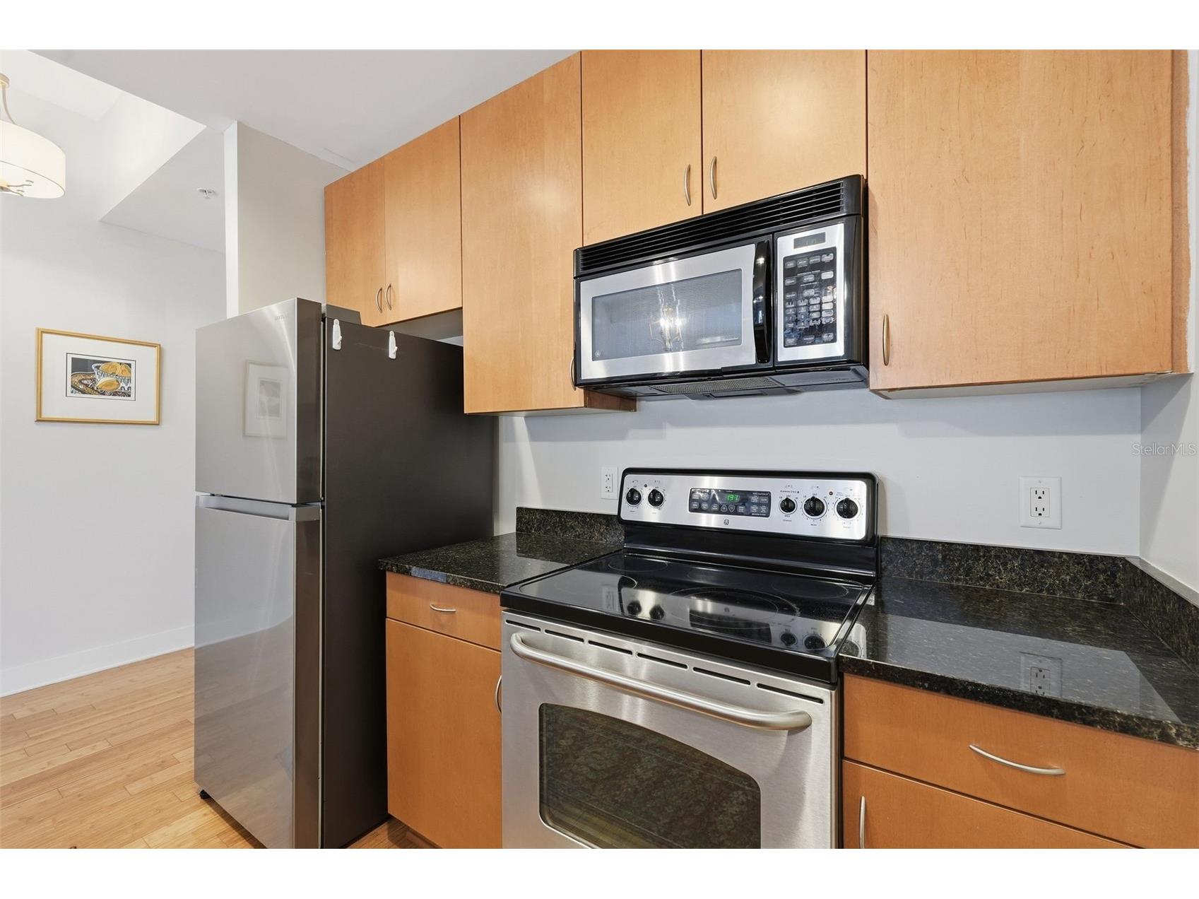 1010 Central Avenue #108 Saint Petersburg FL 33705 TB8514850 image12