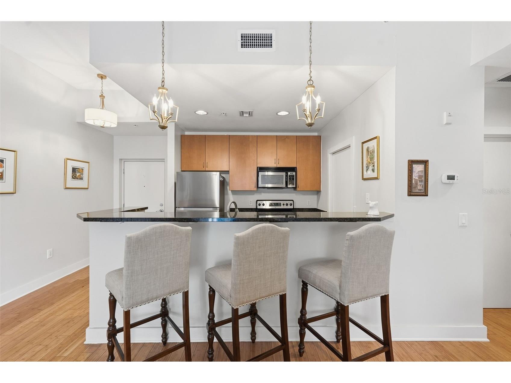 1010 Central Avenue #108 Saint Petersburg FL 33705 TB8514850 image8