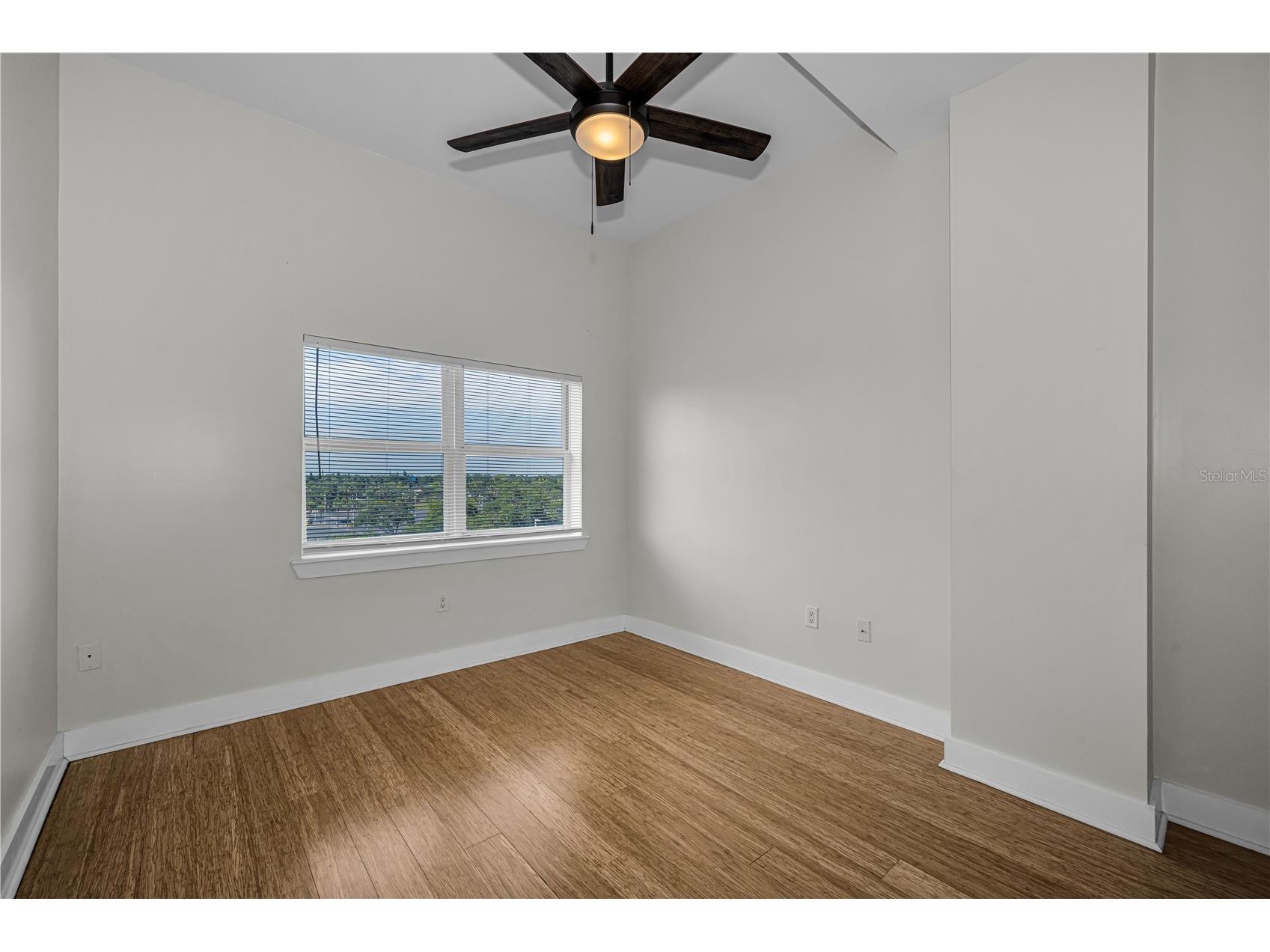 1010 Central Avenue #433 Saint Petersburg FL 33705 TB8516926 image19