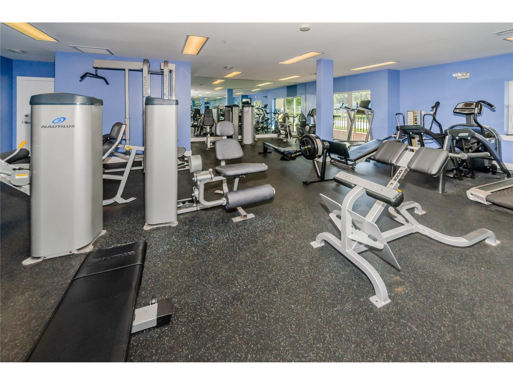 1010 Central Avenue #433 Saint Petersburg FL 33705 TB8516926 image22