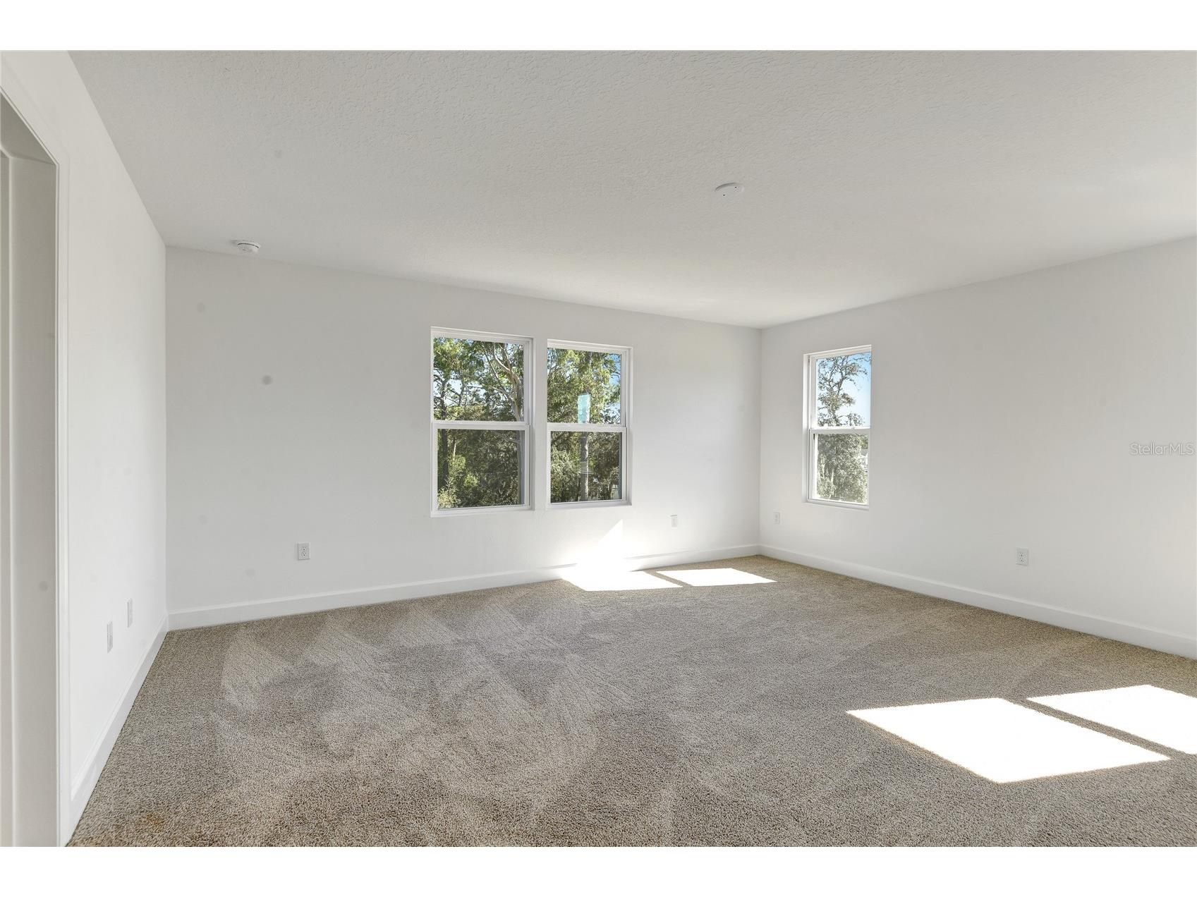1010 Cloud Ridge Court Mount Dora FL 32757 S5149233 image12