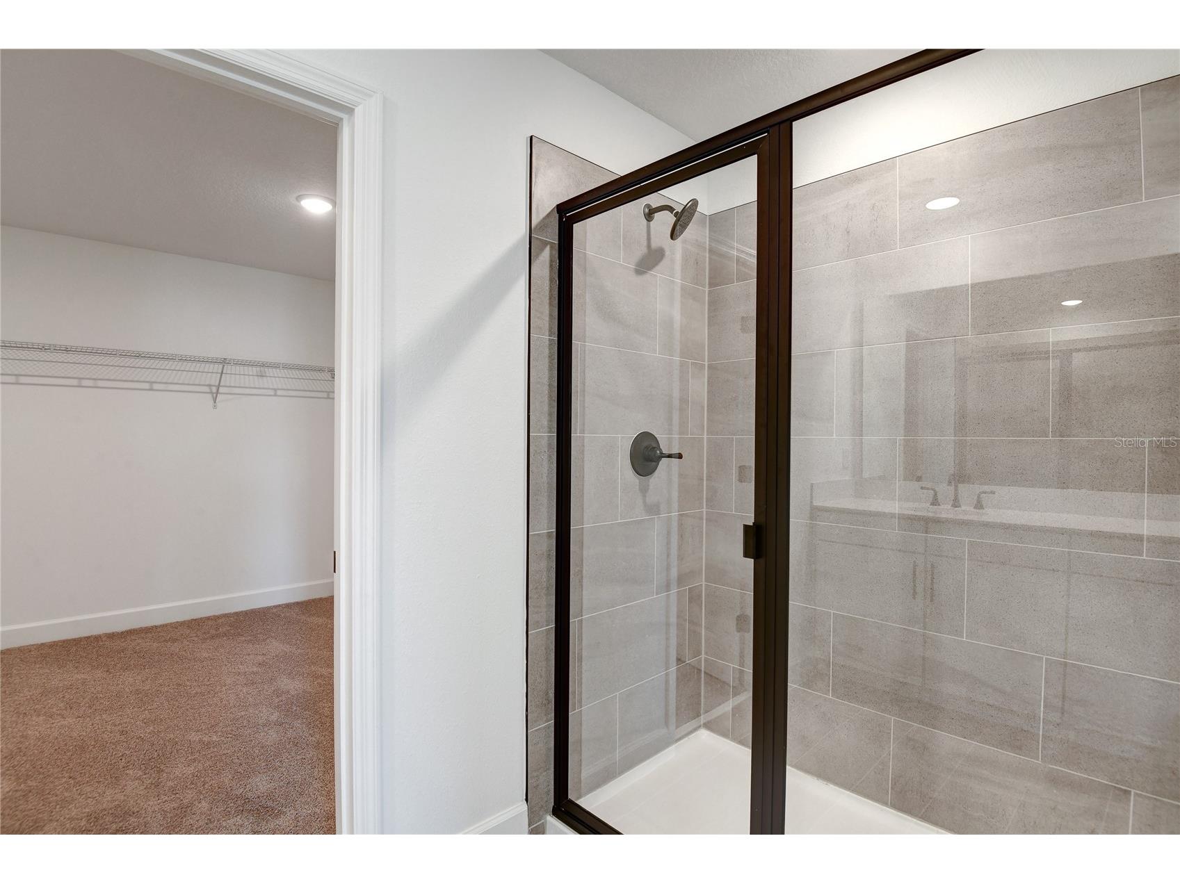 1010 Cloud Ridge Court Mount Dora FL 32757 S5149233 image14