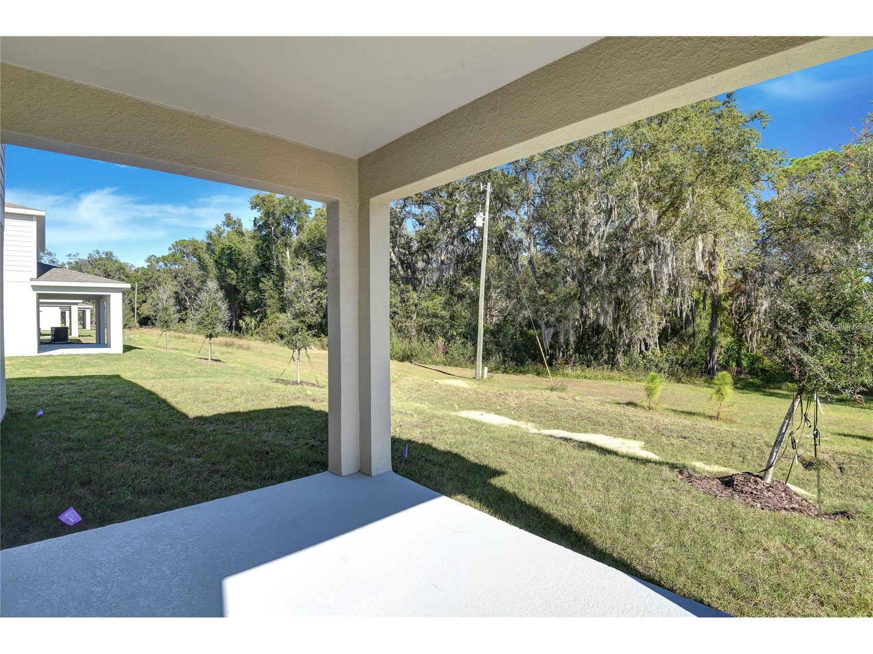 1010 Cloud Ridge Court Mount Dora FL 32757 S5149233 image18