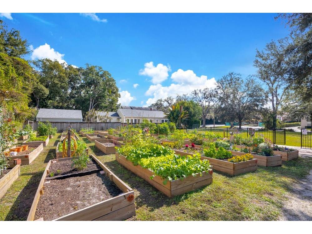 1010 E Robinson Street Orlando FL 32801 O6380935 image25