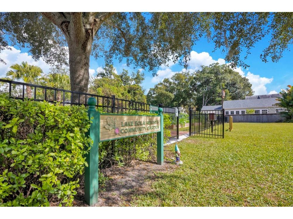 1010 E Robinson Street Orlando FL 32801 O6380935 image27