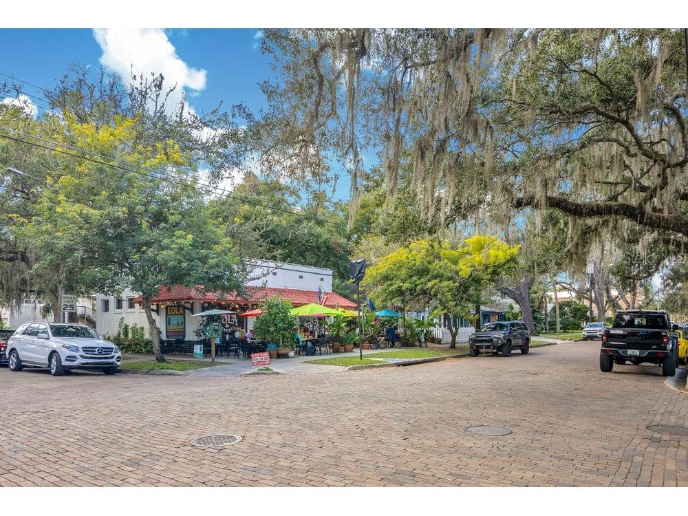 1010 E Robinson Street Orlando FL 32801 O6380935 image29