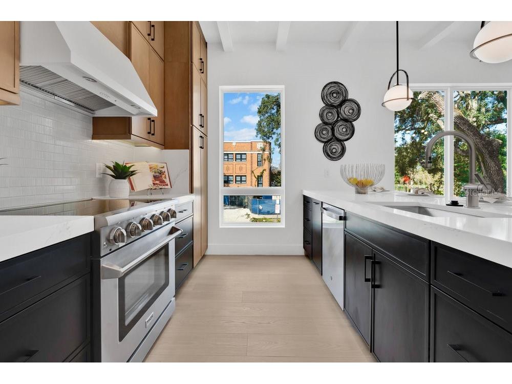 1010 E Robinson Street Orlando FL 32801 O6380935 image9