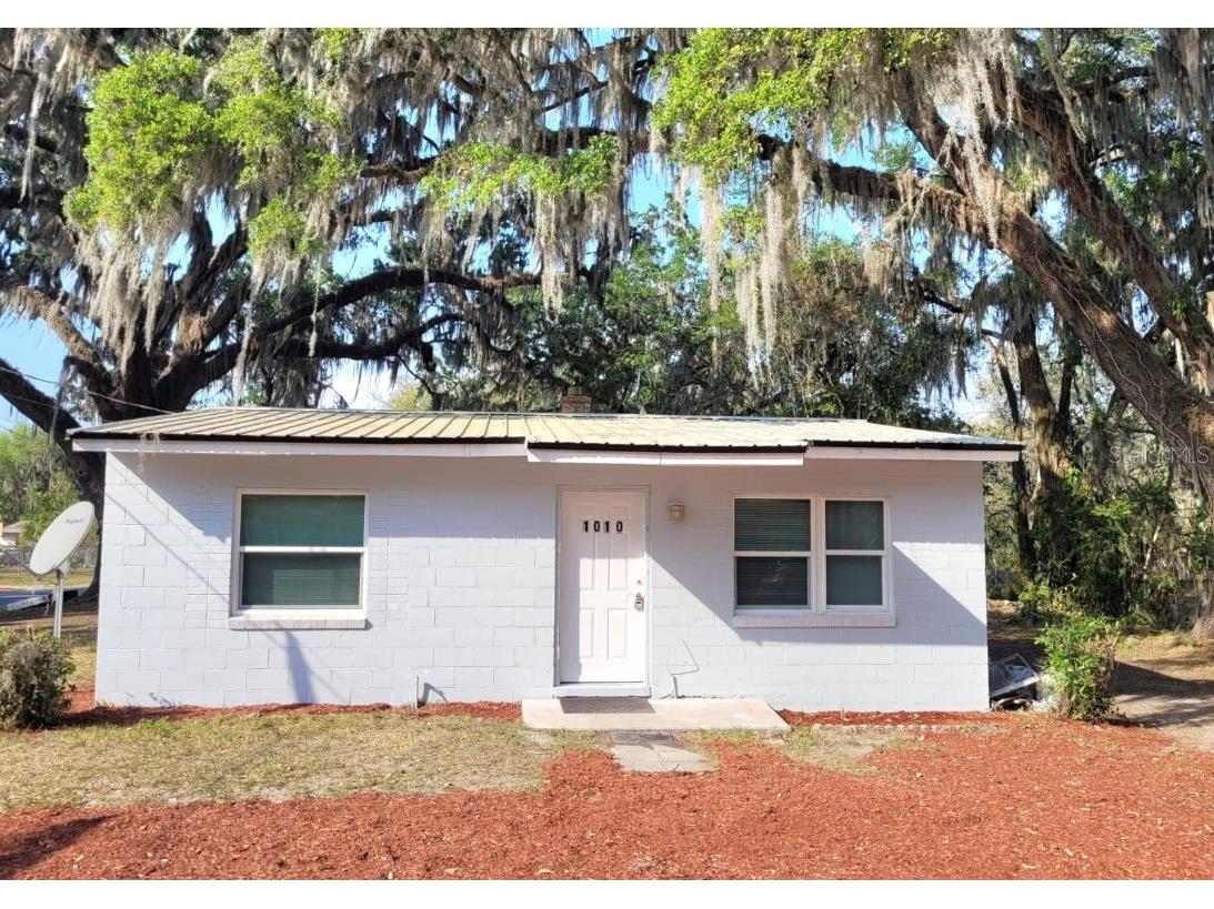 1010 Ferguson Avenue Leesburg FL 34748 O6096159 image1