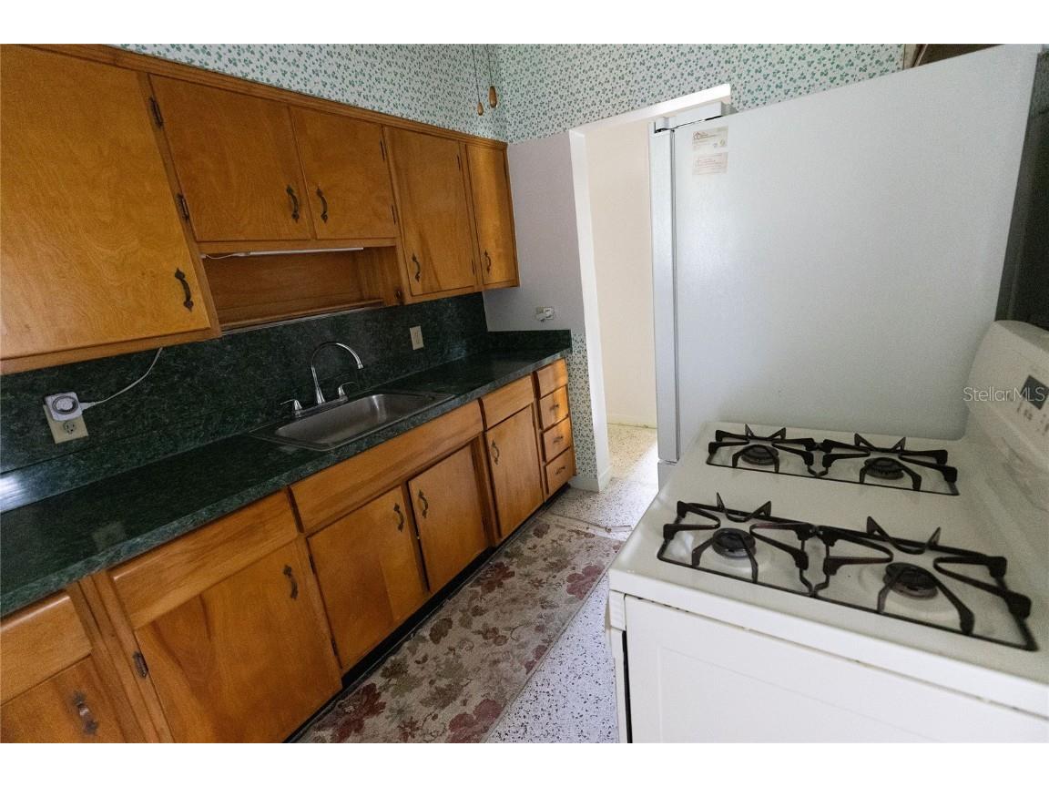 1010 Glenn Ridge Drive Leesburg FL 34748 OM707043 image11