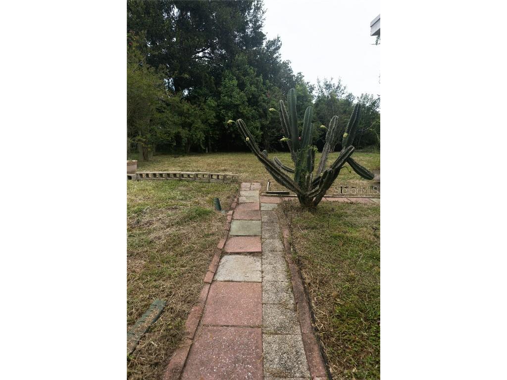 1010 Glenn Ridge Drive Leesburg FL 34748 OM707043 image24