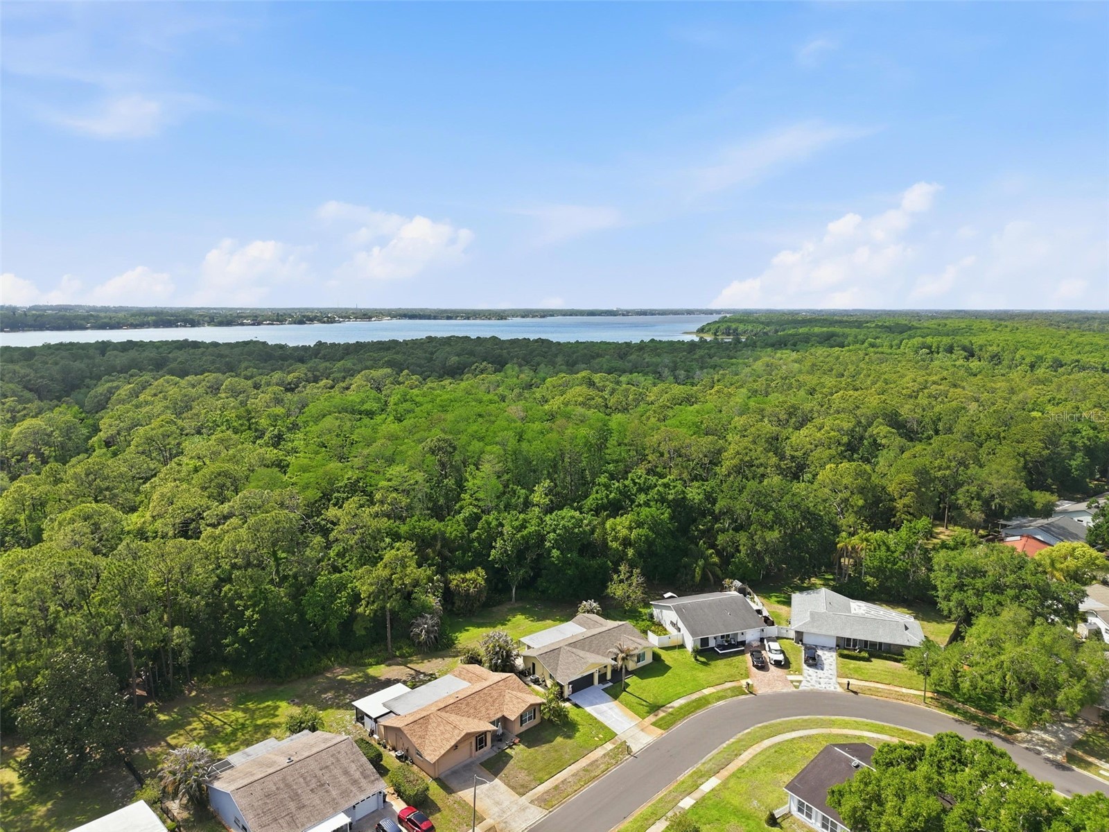 1010 Mainsail Way Palm Harbor FL 34685 W7884808 image38
