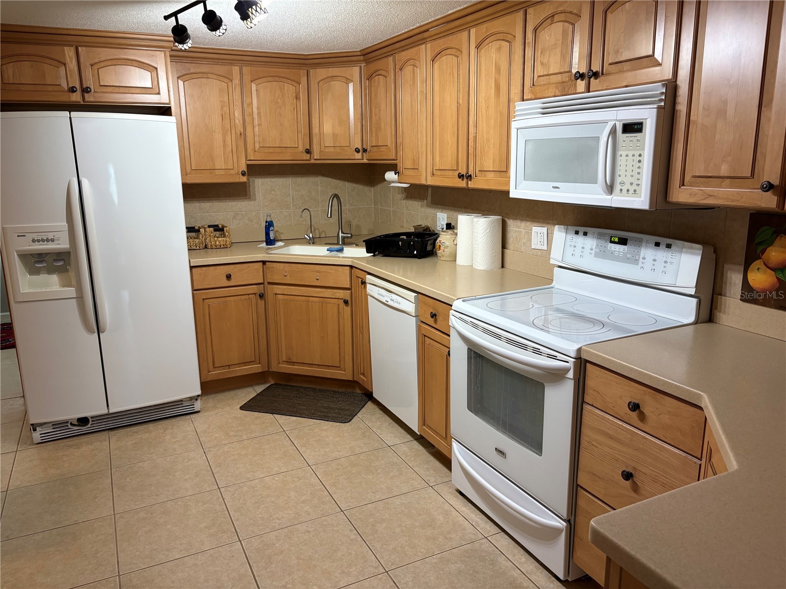 1010 Osprey Court Dunedin FL 34698 TB8523409 image10