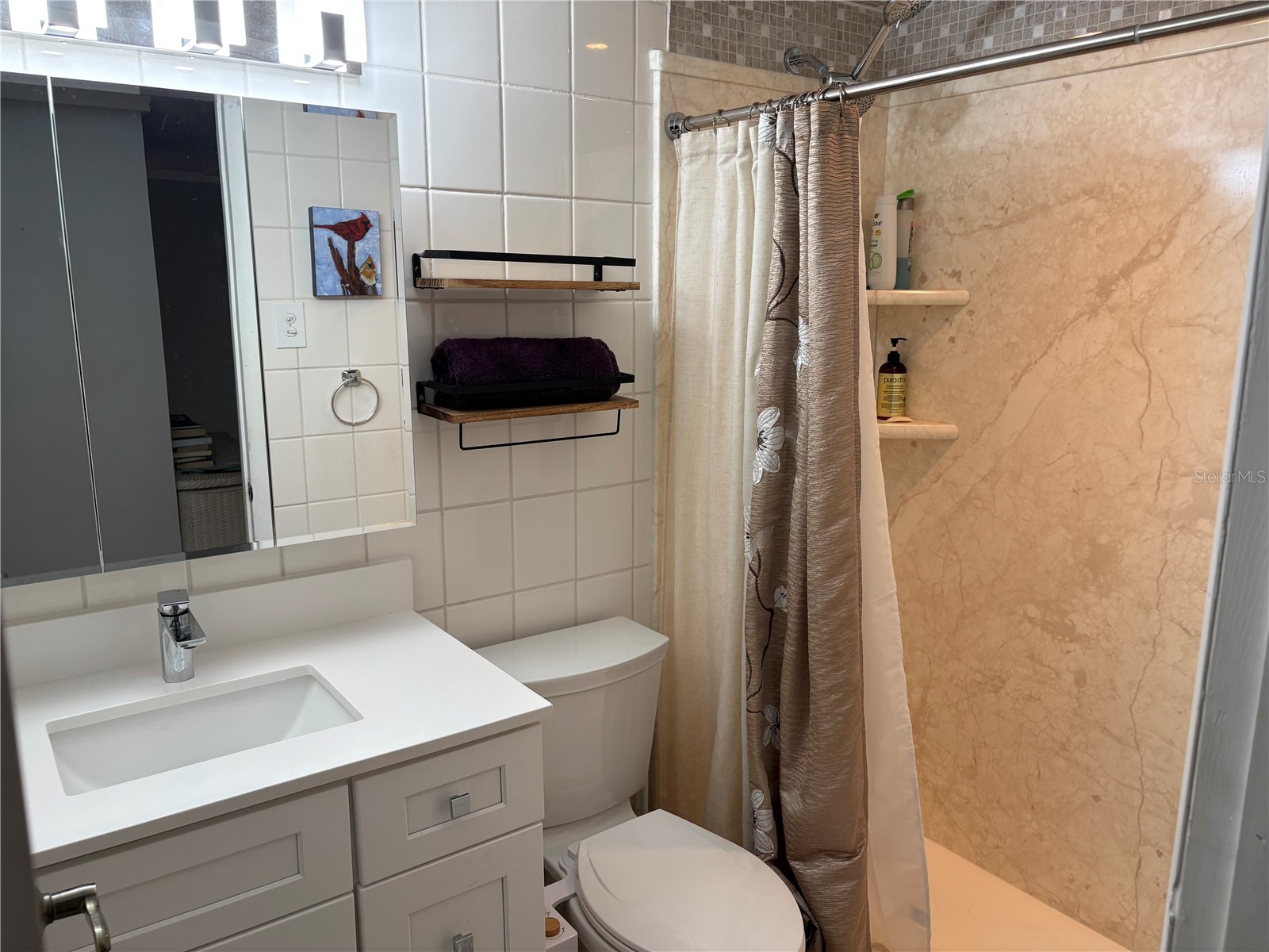 1010 Osprey Court Dunedin FL 34698 TB8523409 image19