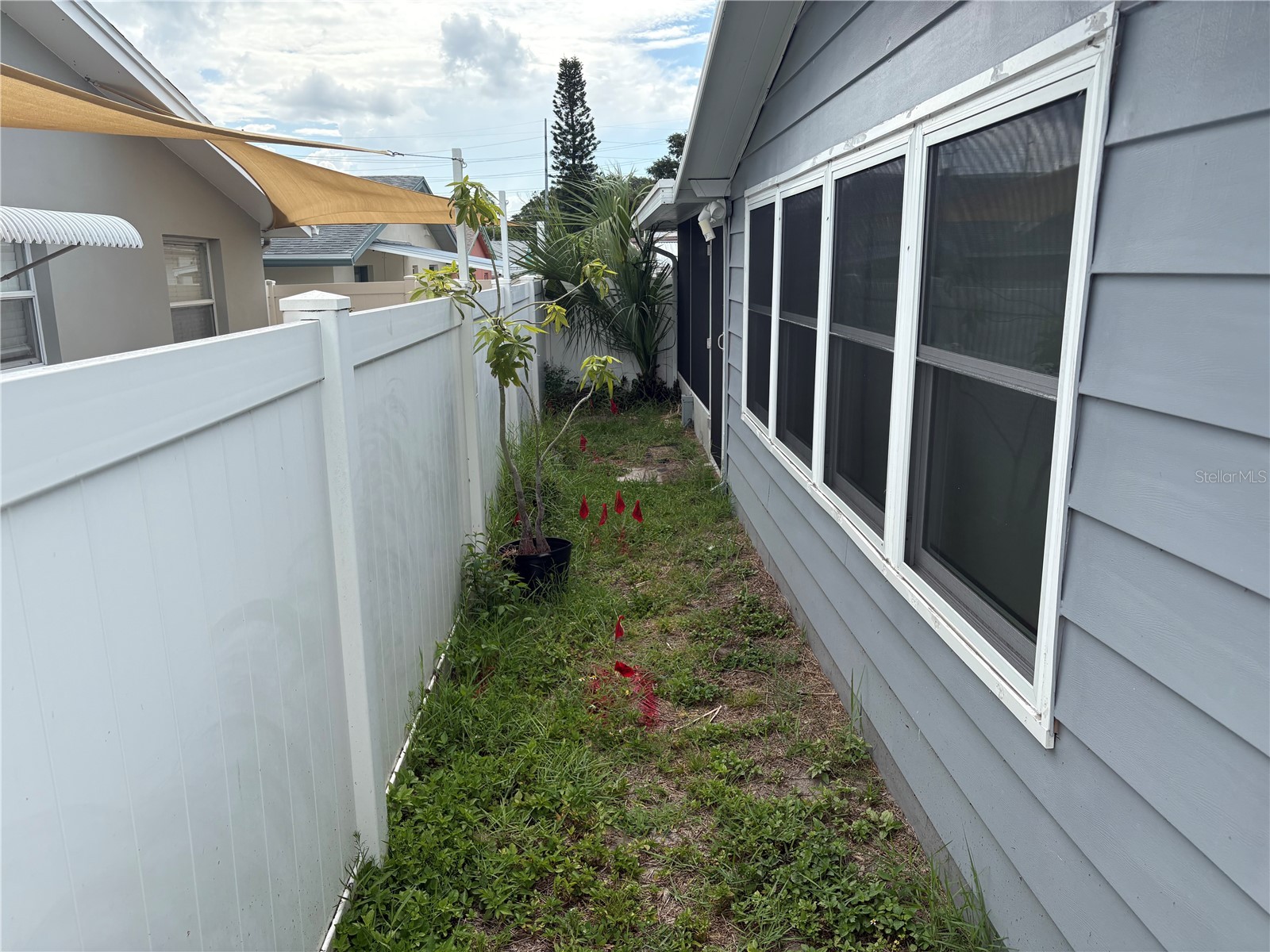 1010 Osprey Court Dunedin FL 34698 TB8523409 image31