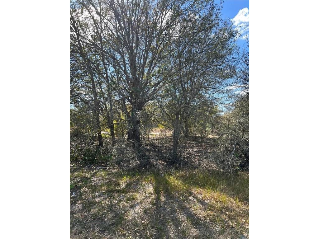 1010 S Brodie Road Avon Park FL 33825 U8223592 image1