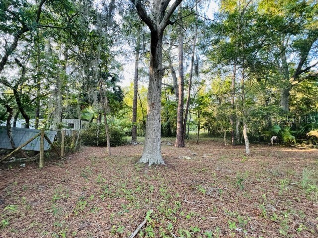 1010 S Main Street Bell FL 32619 GC529639 image11