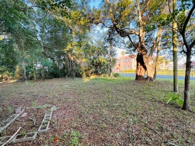 1010 S Main Street Bell FL 32619 GC529639 image9