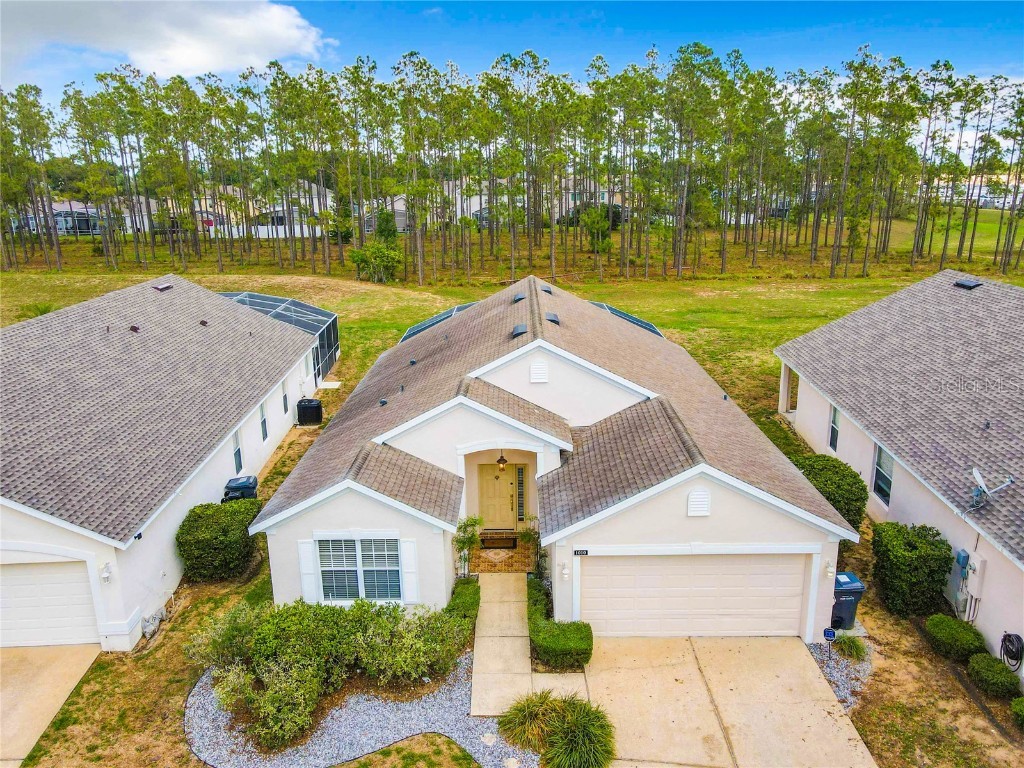 1010 St Andrews Street Davenport FL 33897 O6103733 image1