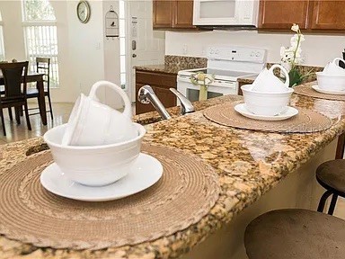 1010 Tourmaline Drive Kissimmee FL 34746 O6359536 image6