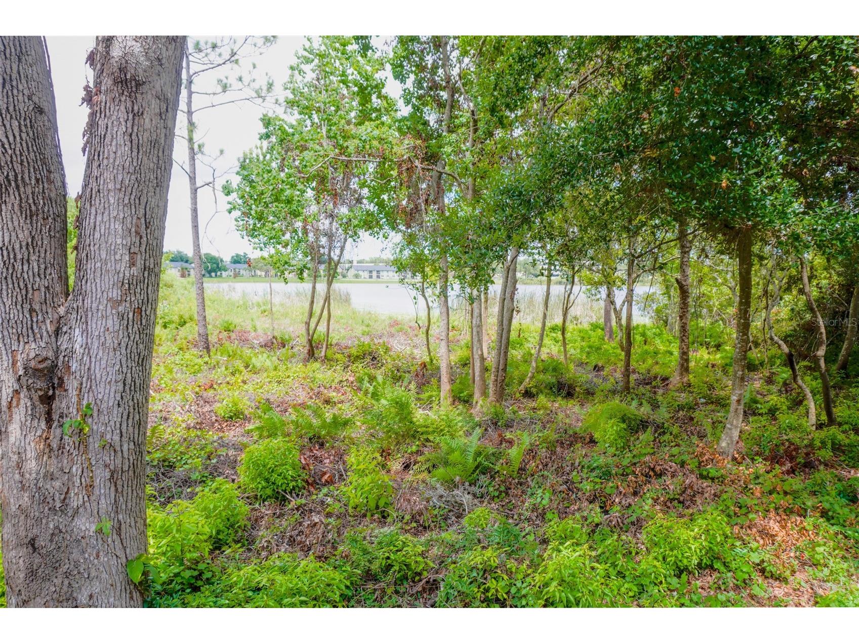 1010 Winderley Place #149 Maitland FL 32751 O6417777 image12