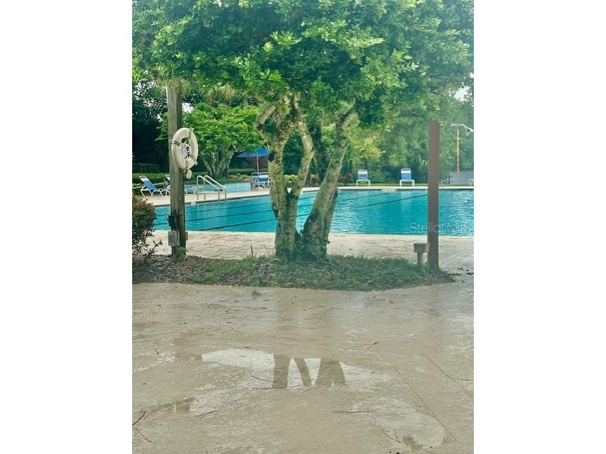 10100 Green Branch Court Orlando FL 32825 O6349816 image37